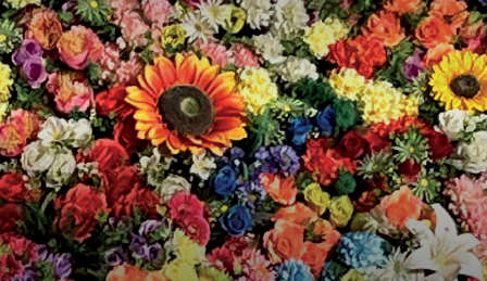 Destaque - Petronille_Dez25