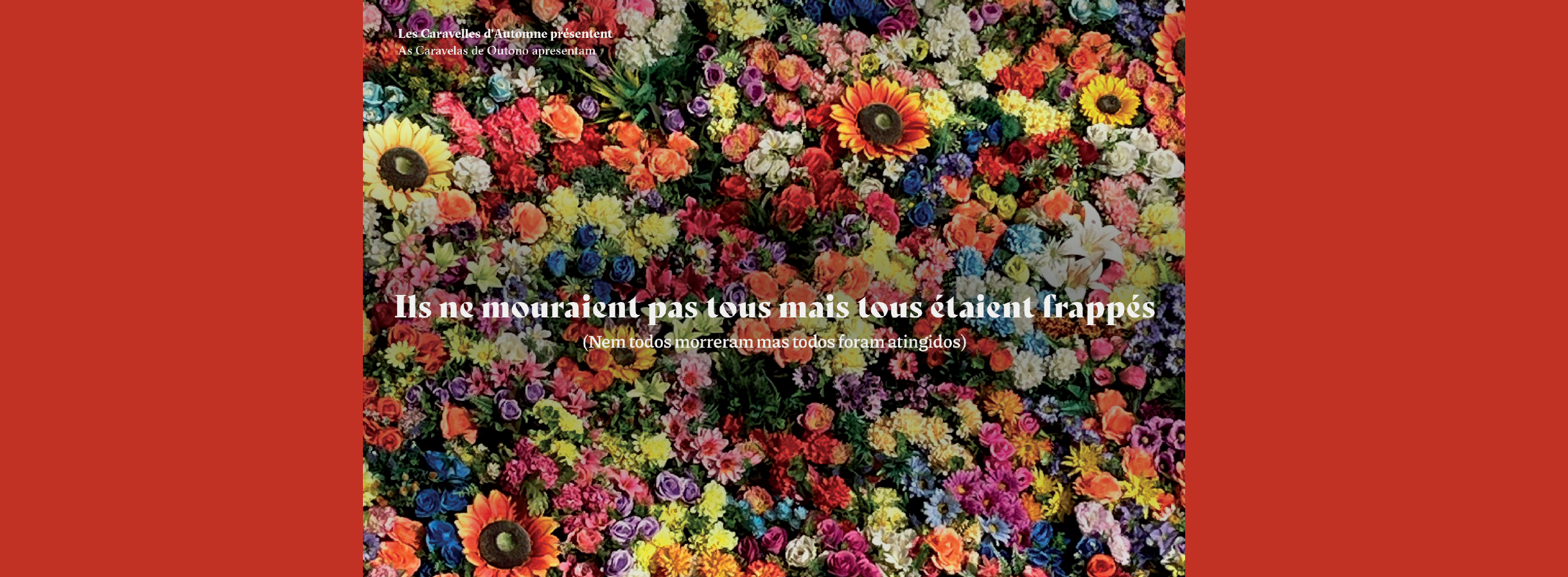 Petronille_Dez25 - Banner